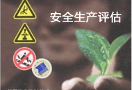 安全生產(chǎn)評(píng)估