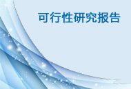 可行性研究報(bào)告